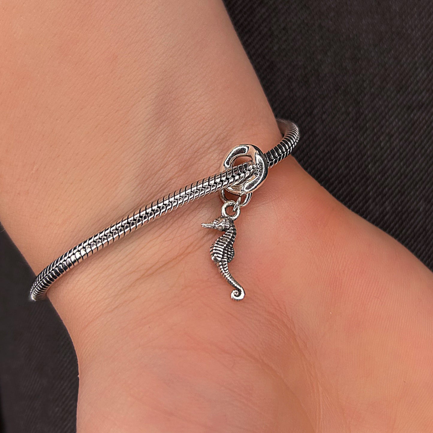 Charm de Caballito de Mar