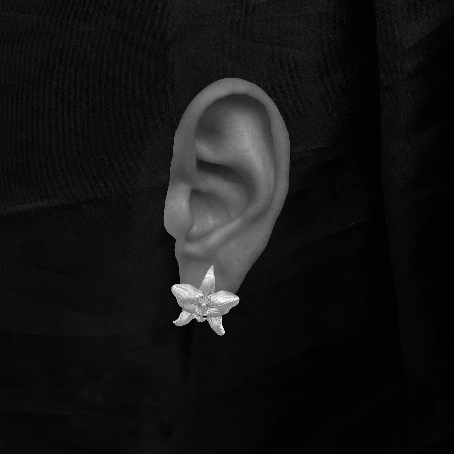Aretes Orchid