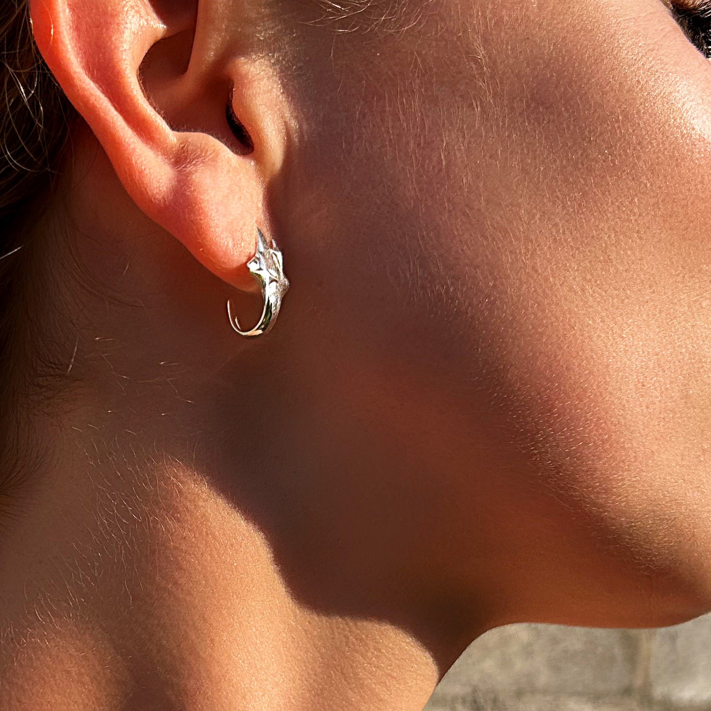 Aretes Nébula