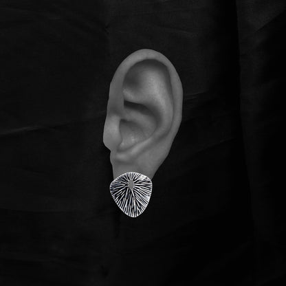 Aretes Senderos