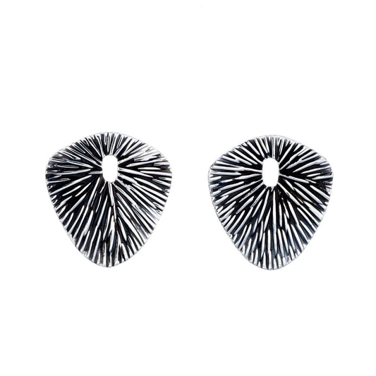 Aretes Senderos