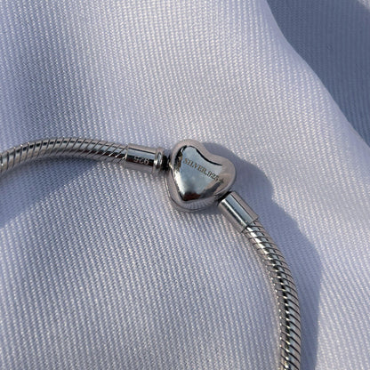 Brazalete Memoria